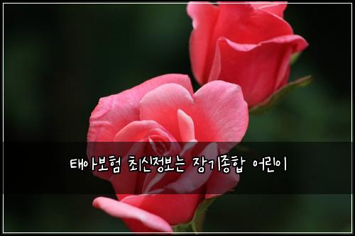 ํ์๋ณดํ ์ต์ ์ ๋ณด๋ ์ฅ๊ธฐ์ข
ํฉ ์ด๋ฆฐ์ด