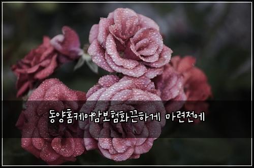 동양홈케어암보험화끈하게 마련전에