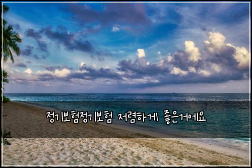 정기보험정기보험 저렴하게 좋은거에요
