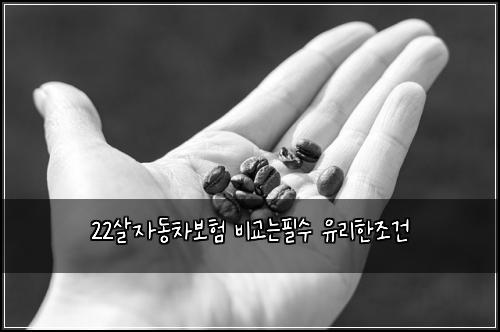 22살자동차보험 비교는필수  유리한조건