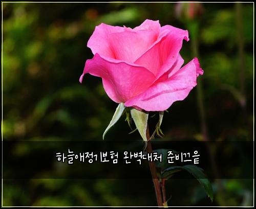 νλμ μ 기보ν μλ²½λμ² μ€λΉλμ