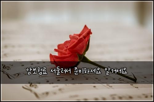 암보험료 서둘러서 준비하세요 알거에요