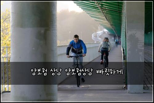 암보험 상담 암보험상담 빠릿하게