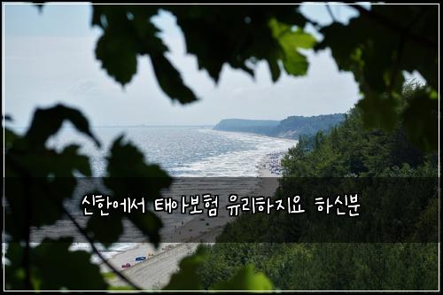 ์ ํ์์ ํ์๋ณดํ ์ ๋ฆฌํ์ง์ ํ์ ๋ถ