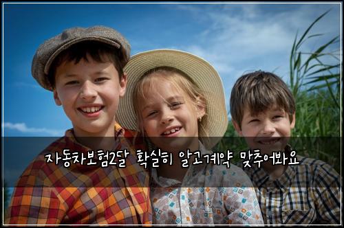 ์๋์ฐจ๋ณดํ2๋ฌ ํ์คํ ์๊ณ ๊ณ์ฝ ๋ง์ถ์ด๋ด์