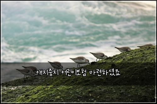 ์ ์ง์ค์ง ์ด๋ฆฐ์ด๋ณดํ ๋ง๋ จํ์
จ์ฃ