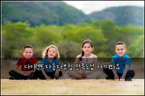 다이렉트자동자보험 만족도업  아껴봐요