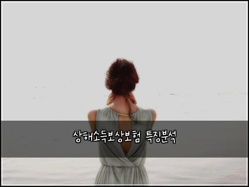상해소득보상보험 특징분석 