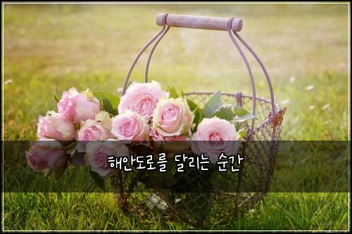 ํด์๋๋ก๋ฅผ ๋ฌ๋ฆฌ๋ ์๊ฐ