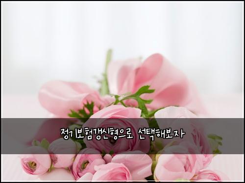 정기보험갱신형으로 선택해보자