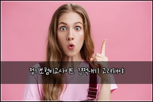 정기보험비교사이트 견적내기 고려해야