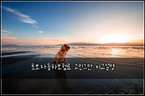 ์ด๋ณด์๋์ฐจ๋ณดํ๋ฃ ๊ณ ๋ฏผ๊ทธ๋ง ๋น๊ต์ค๋ช