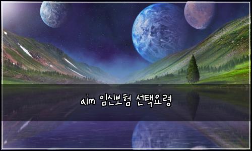 aim 임신보험 선택요령 