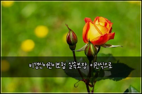 ๋น๊ฐฑ์ ์ด๋ฆฐ์ด๋ณดํ ์ค์๋ณด์ฅ ์ด๋ฐ์์ผ๋ก
