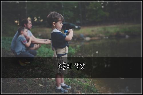 오늘의 색상