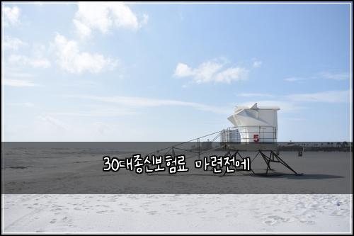 30대종신보험료 마련전에