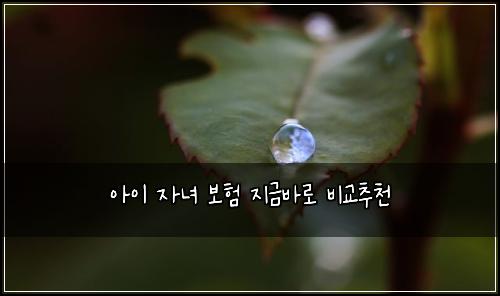 아이 자녀 보험 지금바로  비교추천