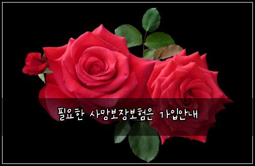 필요한 사망보장보험은 가입안내