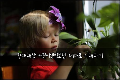 현대해상 어린이생명보험 제대로 이해하기