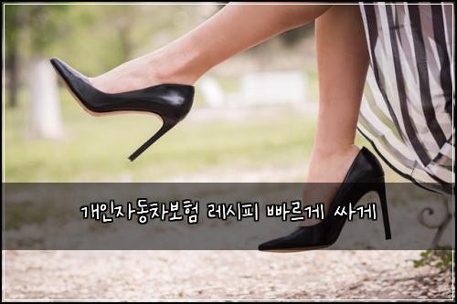 개인자동차보험 레시피  빠르게 싸게