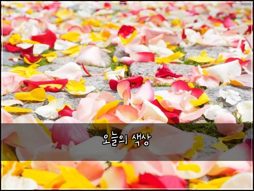 오늘의 색상