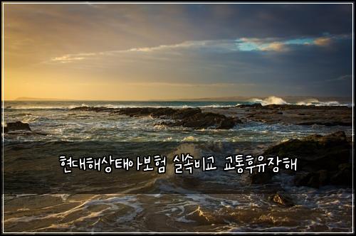ํ๋ํด์ํ์๋ณดํ ์ค์๋น๊ต ๊ตํตํ์ ์ฅํด