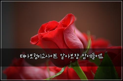 ํ์๋ณดํ๋น๊ต์ฌ์ดํธ ์์๋ณด์ ๋ง์๋ค์ด์