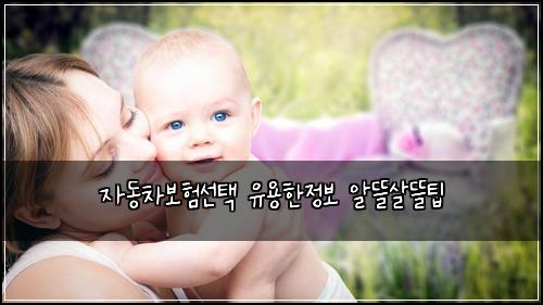 자동차보험선택 유용한정보 알뜰살뜰팁