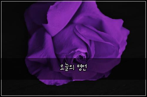 오늘의 명언