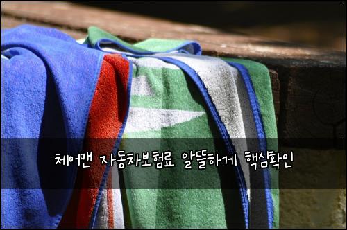 체어맨 자동차보험료 알뜰하게 핵심확인