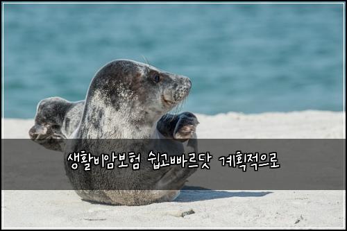 ์ํ๋น์๋ณดํ ์ฝ๊ณ ๋น ๋ฅด๋ท ๊ณํ์ ์ผ๋ก