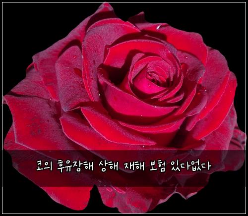 코의 후유장해 상해 재해 보험 있다없다 
