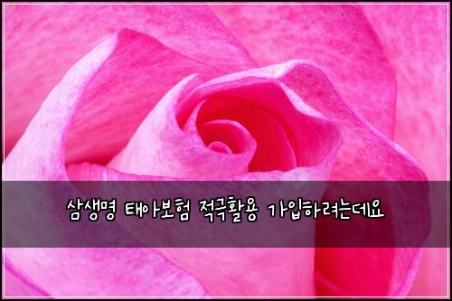 삼생명 태아보험 적극활용  가입하려는데요