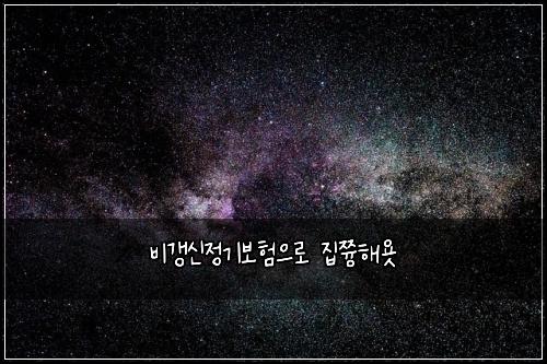 비갱신정기보험으로 집쯍해욧