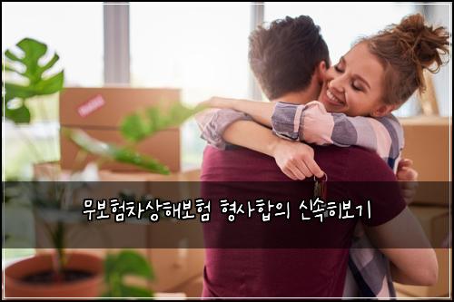 무보νμ°¨μν΄λ³΄ν νμ¬ν©μ μ μν보기