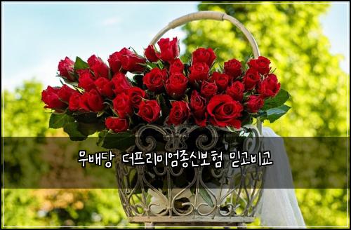 무배당 더프리미엄종신보험 믿고비교 