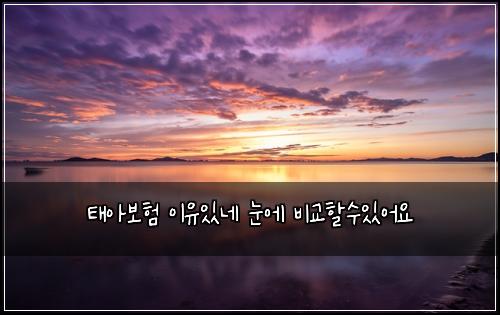 ํ์๋ณดํ ์ด์ ์๋ค ๋์ ๋น๊ตํ ์์์ด์