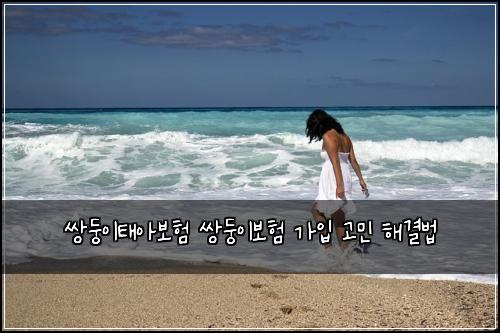 쌍둥이태아보험 쌍둥이보험 가입 고민 해결법