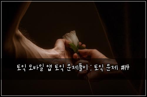 토익 모바일 앱 토익 문제풀이 : 토익 문제 #14