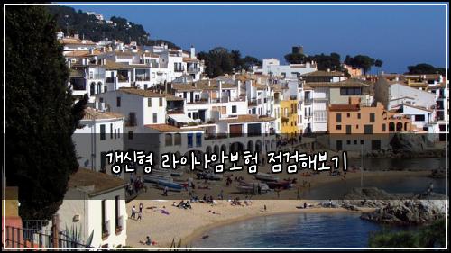 갱신형 라이나암보험 점검해보기 