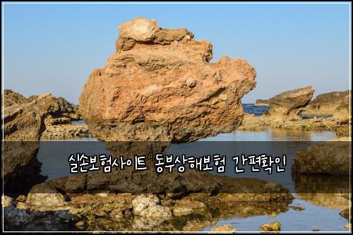 μ€μ보νμ¬μ΄νΈ λλΆμν΄λ³΄ν κ°νΈνμΈ