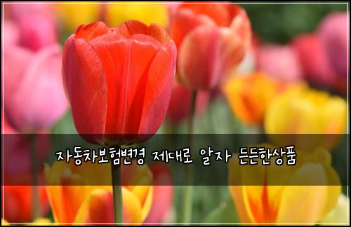 자동차보험변경 제대로 알자 든든한상품
