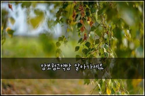 ์๋ณดํ๊ณ ์ก์ ์์๊ฐ์ธ์