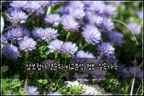 ์๋ณดํ๊ฐ๊ฒฉ์์ ๋น๊ต๋ถ์ ์ ๋ณด ์ค์๊ฐ๋