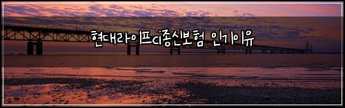 현대라이프ci종신보험 인기이유 