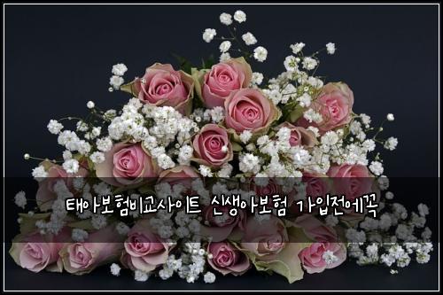 ํ์๋ณดํ๋น๊ต์ฌ์ดํธ ์ ์์๋ณดํ ๊ฐ์
์ ์๊ผญ