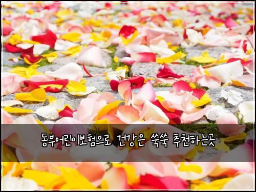 ๋๋ถ์ด๋ฆฐ์ด๋ณดํ์ผ๋ก ๊ฑด๊ฐ์ ์ฅ์ฅ ์ถ์ฒํ๋๊ณณ