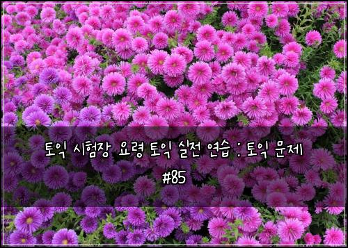 토익 시험장 요령 토익 실전 연습 : 토익 문제 #85