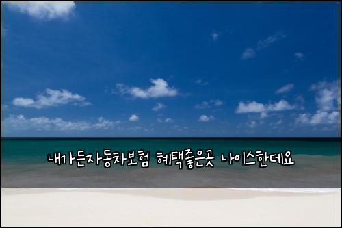 λ΄κ°λ μλ차보ν ννμ’μκ³³ λμ΄μ€νλ°μ