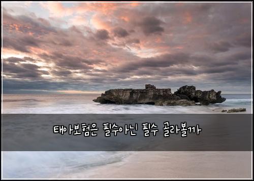 태아보험은 필수아닌 필수 골라볼까